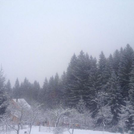Forest Vibes Spa Cîmpu lui Neag Dış mekan fotoğraf