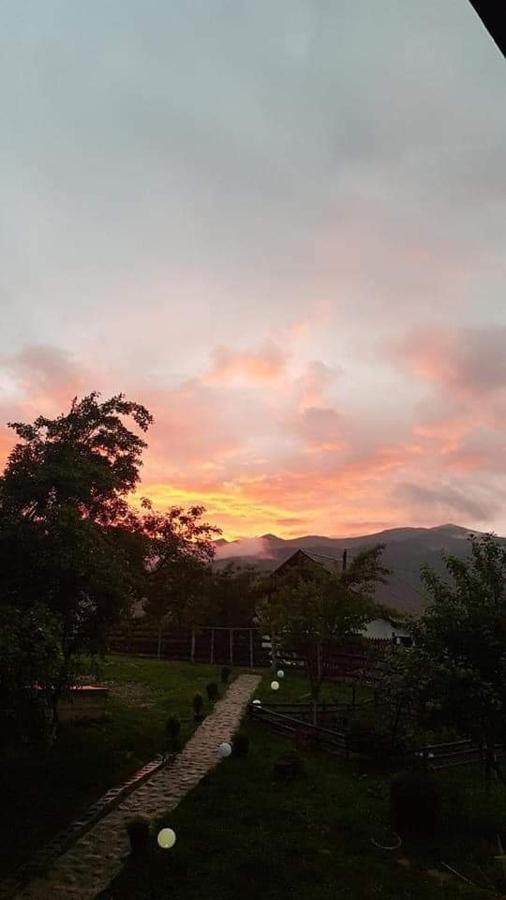 Forest Vibes Spa Cîmpu lui Neag Dış mekan fotoğraf