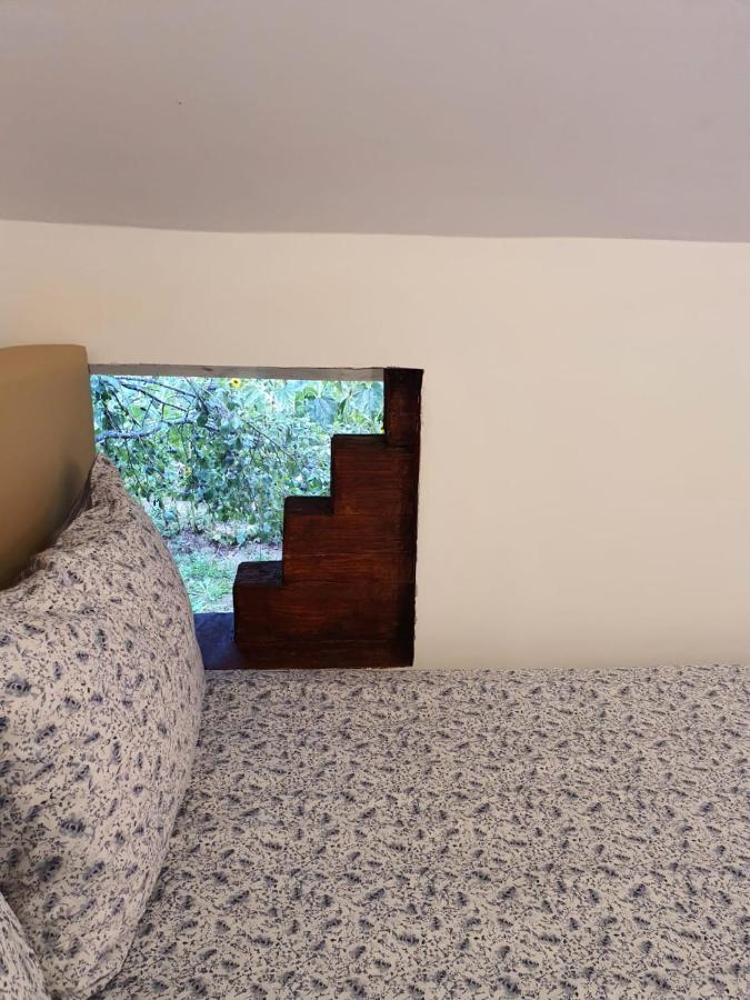 Forest Vibes Spa Cîmpu lui Neag Dış mekan fotoğraf