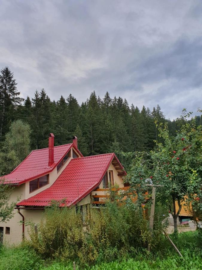 Forest Vibes Spa Cîmpu lui Neag Dış mekan fotoğraf