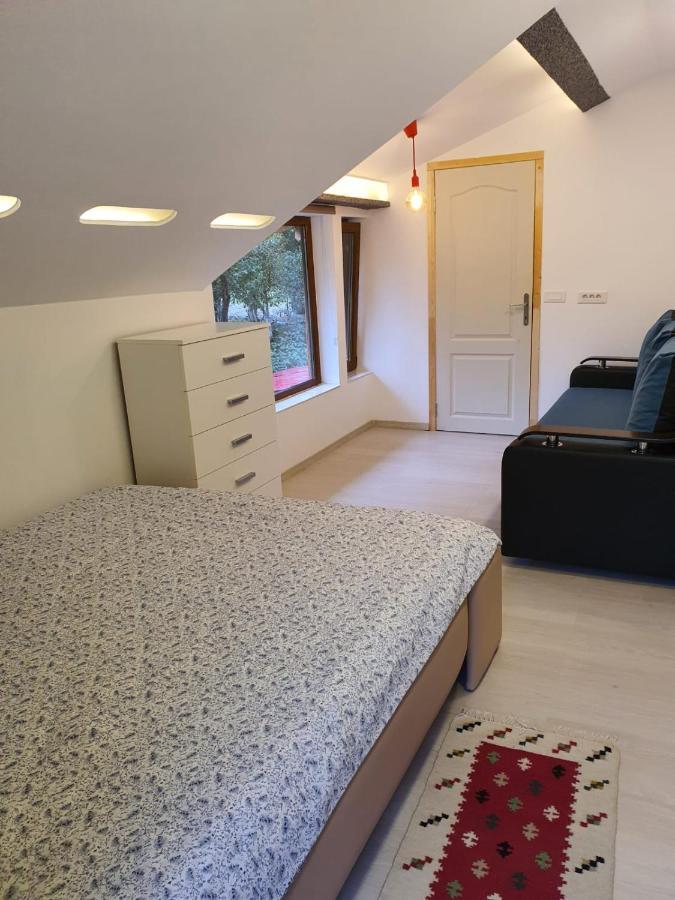 Forest Vibes Spa Cîmpu lui Neag Dış mekan fotoğraf
