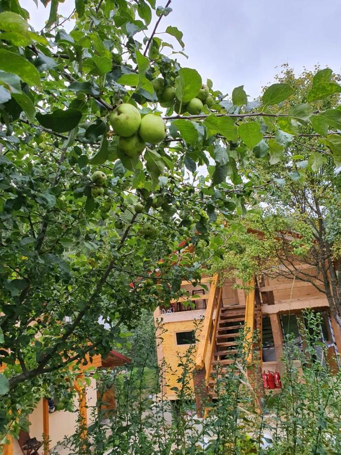 Forest Vibes Spa Cîmpu lui Neag Dış mekan fotoğraf