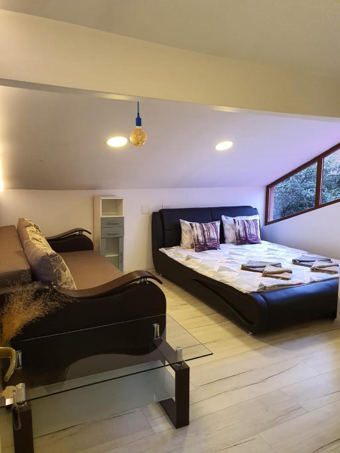 Forest Vibes Spa Cîmpu lui Neag Dış mekan fotoğraf