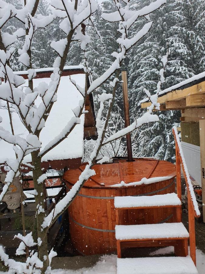 Forest Vibes Spa Cîmpu lui Neag Dış mekan fotoğraf