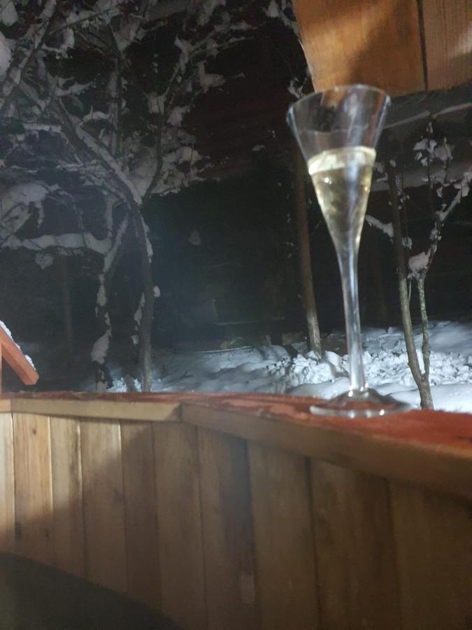 Forest Vibes Spa Cîmpu lui Neag Dış mekan fotoğraf
