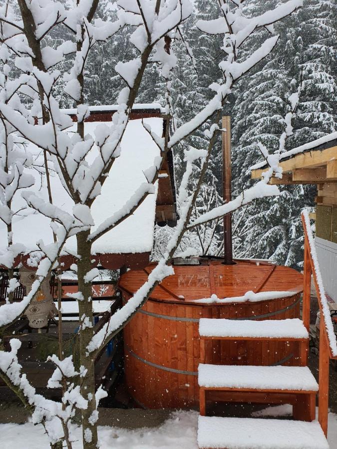Forest Vibes Spa Cîmpu lui Neag Dış mekan fotoğraf