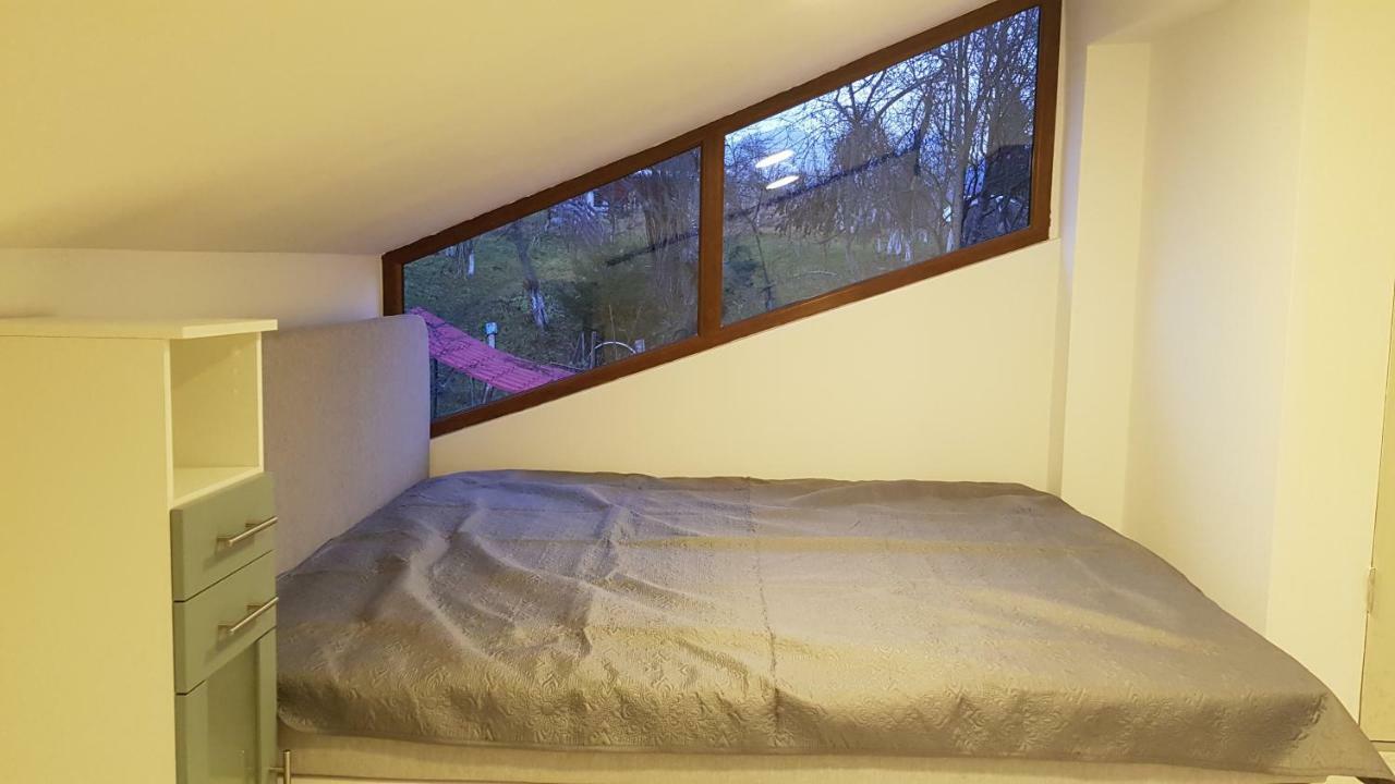 Forest Vibes Spa Cîmpu lui Neag Dış mekan fotoğraf