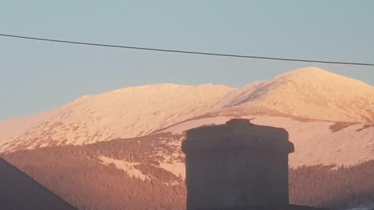 Forest Vibes Spa Cîmpu lui Neag Dış mekan fotoğraf