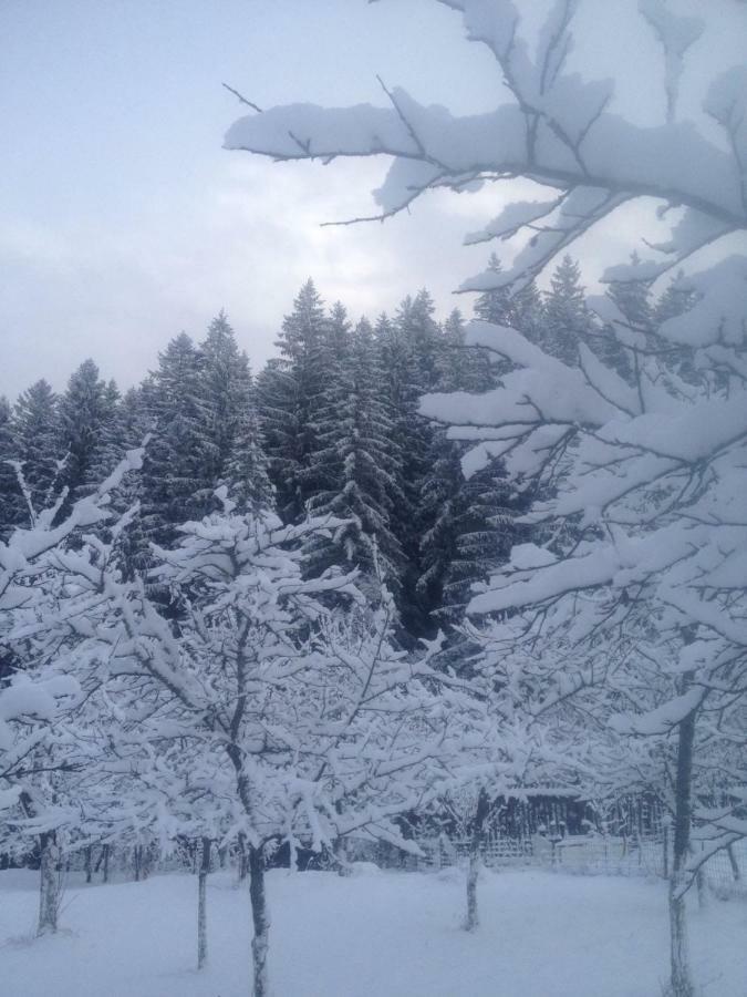 Forest Vibes Spa Cîmpu lui Neag Dış mekan fotoğraf