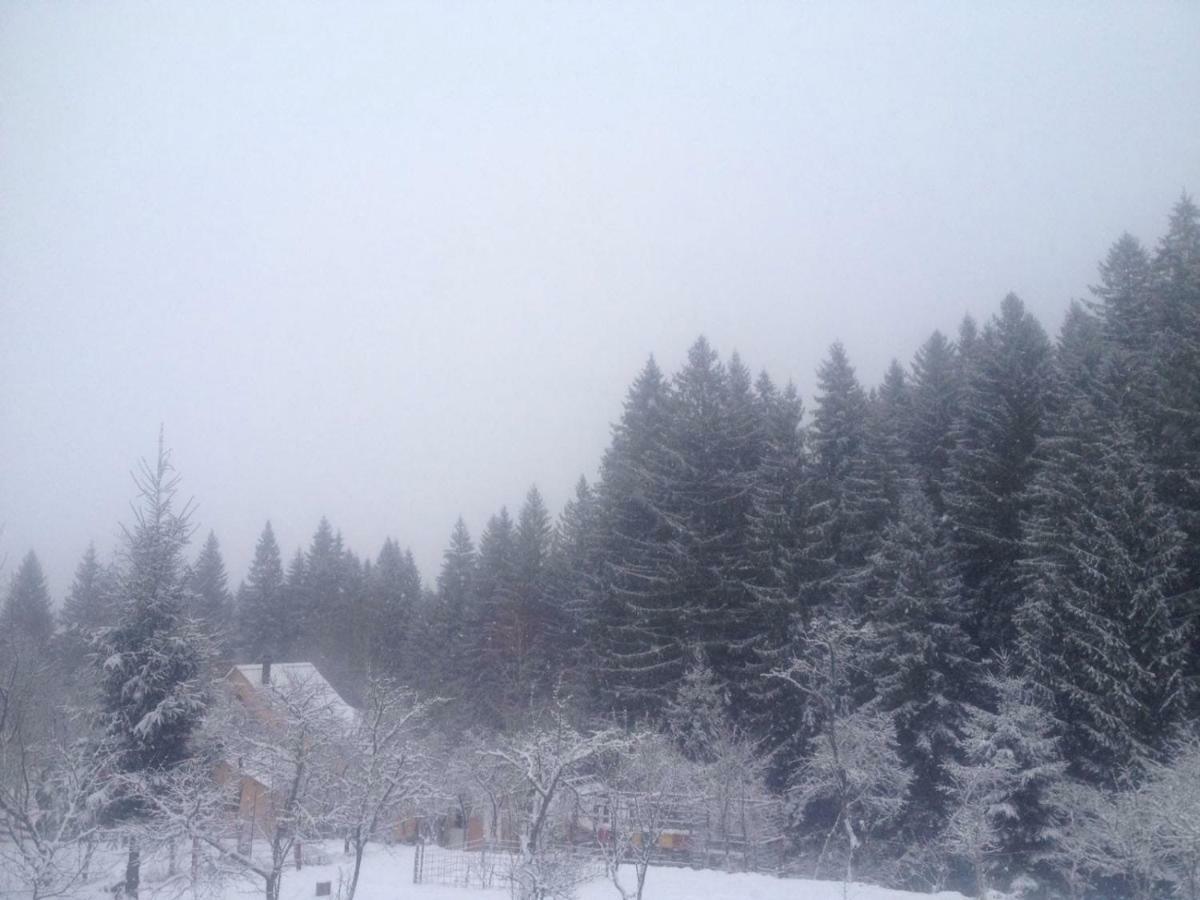 Forest Vibes Spa Cîmpu lui Neag Dış mekan fotoğraf