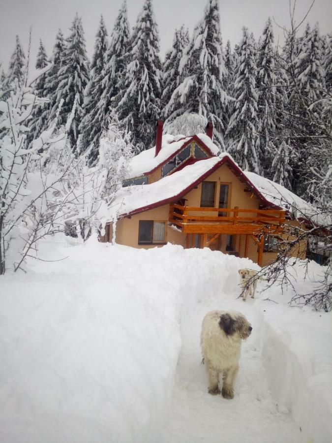 Forest Vibes Spa Cîmpu lui Neag Dış mekan fotoğraf