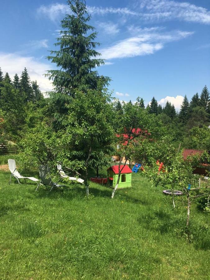 Forest Vibes Spa Cîmpu lui Neag Dış mekan fotoğraf