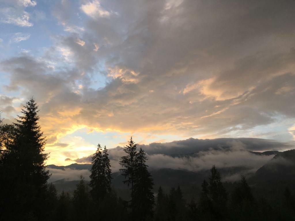 Forest Vibes Spa Cîmpu lui Neag Dış mekan fotoğraf