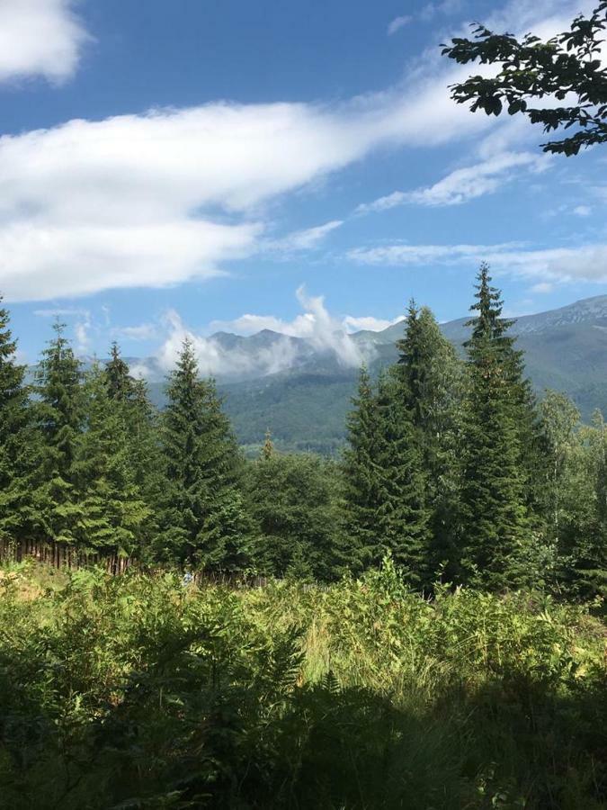 Forest Vibes Spa Cîmpu lui Neag Dış mekan fotoğraf