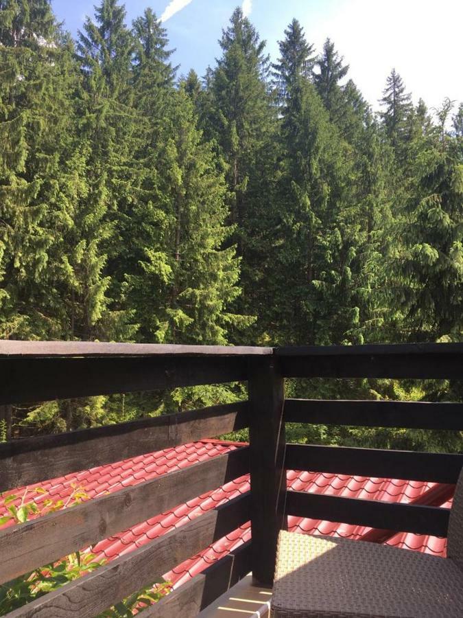 Forest Vibes Spa Cîmpu lui Neag Dış mekan fotoğraf