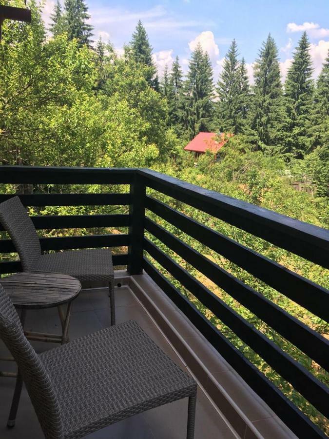 Forest Vibes Spa Cîmpu lui Neag Dış mekan fotoğraf