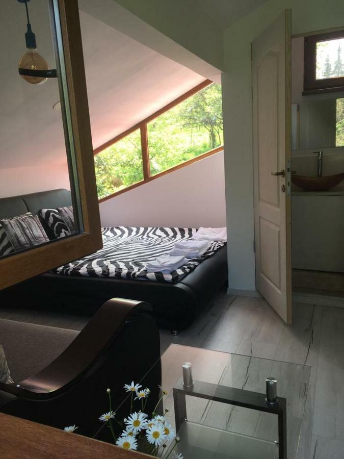 Forest Vibes Spa Cîmpu lui Neag Dış mekan fotoğraf