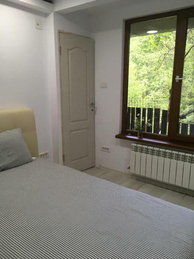 Forest Vibes Spa Cîmpu lui Neag Dış mekan fotoğraf