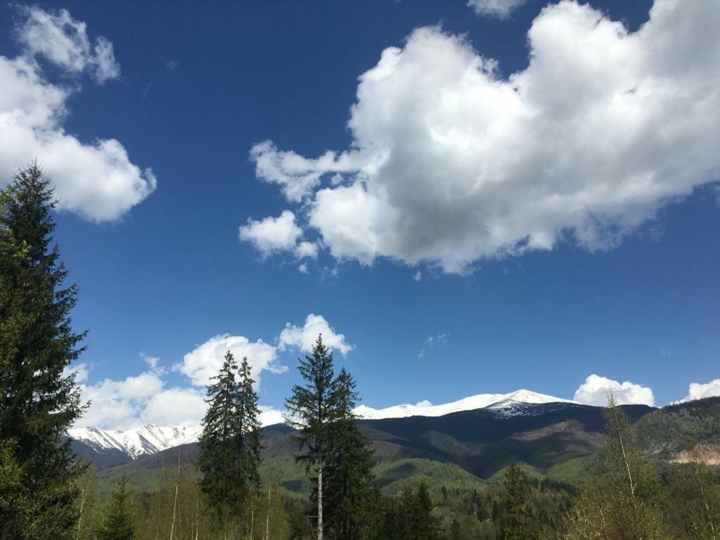 Forest Vibes Spa Cîmpu lui Neag Dış mekan fotoğraf