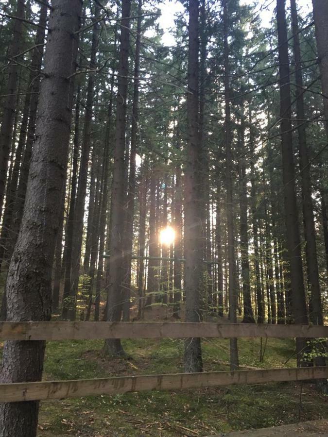 Forest Vibes Spa Cîmpu lui Neag Dış mekan fotoğraf