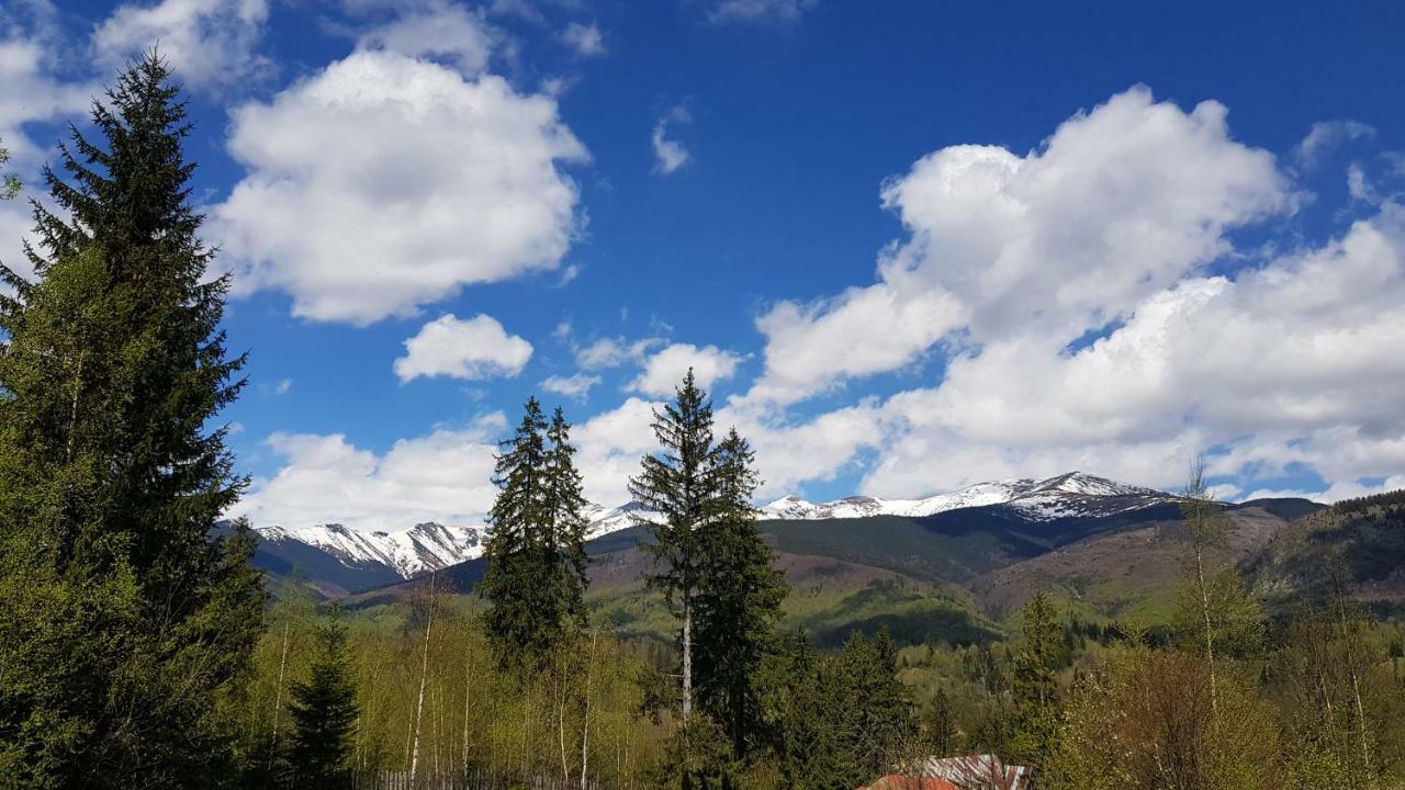 Forest Vibes Spa Cîmpu lui Neag Dış mekan fotoğraf