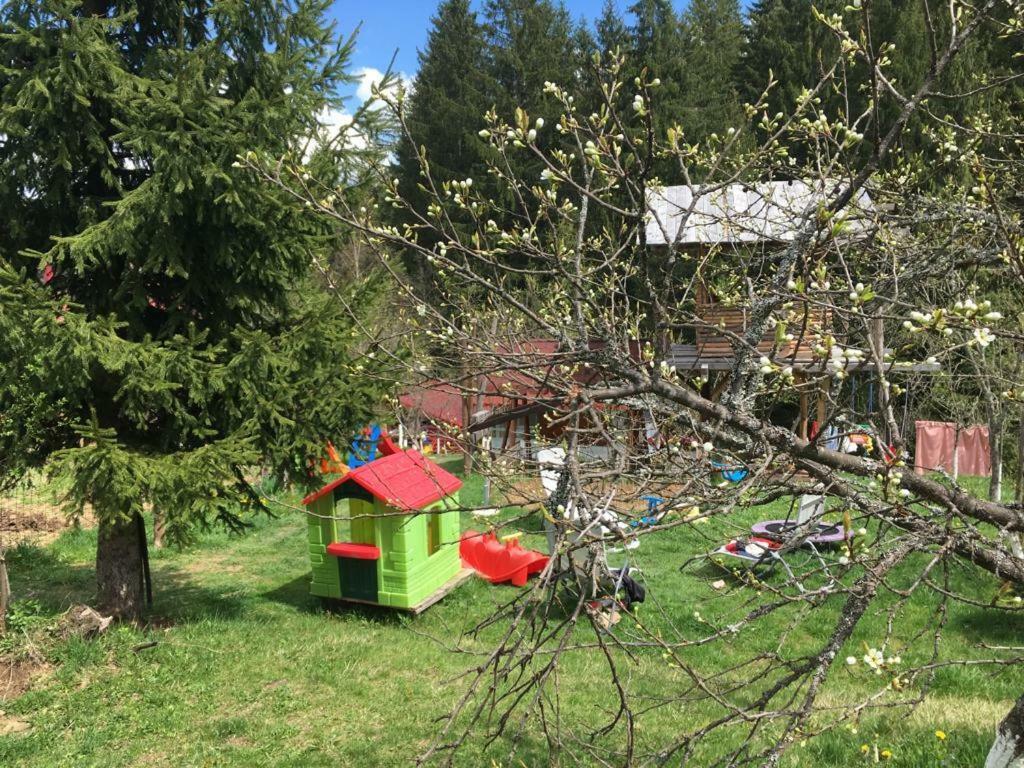 Forest Vibes Spa Cîmpu lui Neag Dış mekan fotoğraf